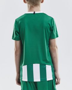 1905584_1651_PROGRESS20Jersey20Stripe_C2