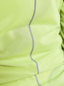 1908792-851000_Essence20Light20Wind20jkt_Closeup3