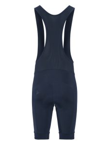 1910529-3960_Endur20Bib20Shorts20C420M_Back