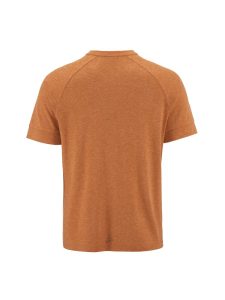 1913721-699200_Athleisure20Layers20Wool20SS20Tee20M_Back