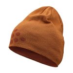 1914807-699000_Adv20Nordic20Training20Merino20Logo20Hat_Front