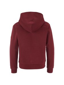 1915322-4940_Community20220Hoodie20Jr_Back