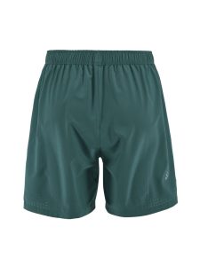 1915951-6670_ADV20Essence20Shorts20M_Back