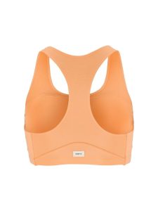 1916008-7540_Collective20Padded20Sports20bra20W_Back-1