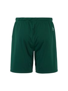 C17392-6390_Evolve20220Shorts20M_Back
