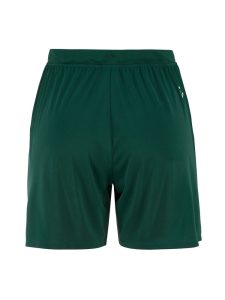 C17393-6390_Evolve20220Shorts20W_Back