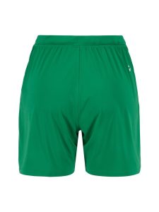 C17393-6510_Evolve20220Shorts20W_Back