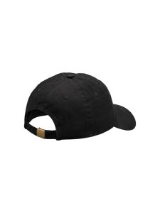 C17494-9990_Ability20Logo20Cap_Back